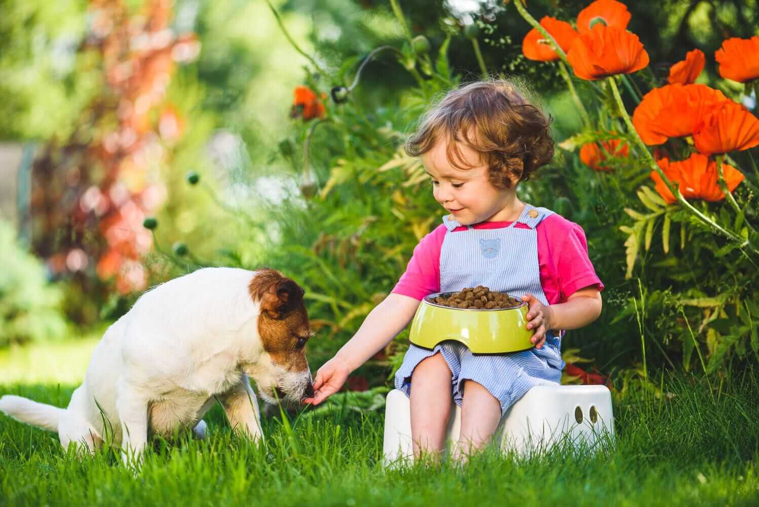 Furry Friends: Learning to Interact with Animals